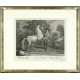Ridinger - Dánský kůň - Cheval Danois, mědirytina, 1750