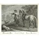 Ridinger - Ruský kůň - Cheval de Russie, mědirytina, 1750