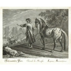 Ridinger - Ruský kůň - Cheval de Russie, mědirytina, 1750