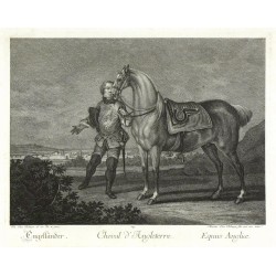 Ridinger - Anglický kůň - Cheval d'Angleterre, mědirytina, 1750