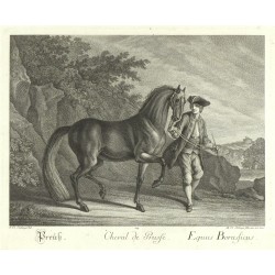 Ridinger - Prussian horse - Cheval de Prusse, copperplate engraving, 1750
