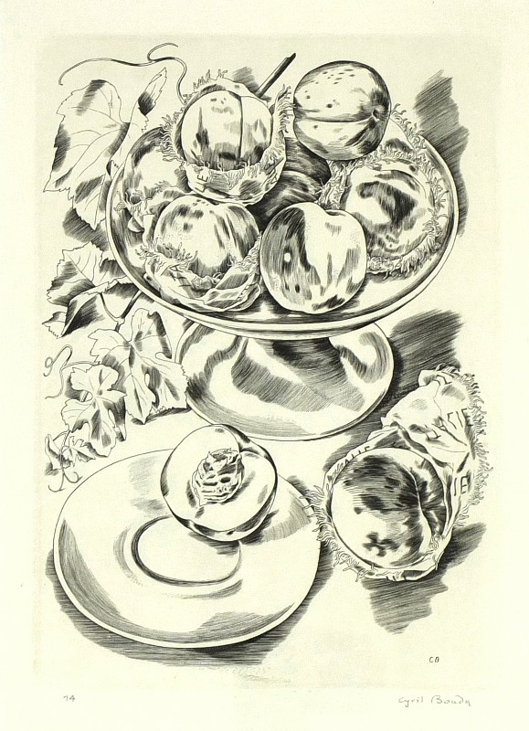 Cyril Bouda - Broskve, mědiryt, 1937