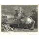 Ridinger - Transsilvanisches Pferd - Cheval de Transylvaniae, Kupferstich, 1750