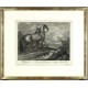Ridinger - Wallachian horse - Cheval Valachcois, copperplate engraving, 1750