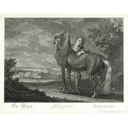Ridinger - Maďarský kůň - Hongrois, mědirytina, 1750