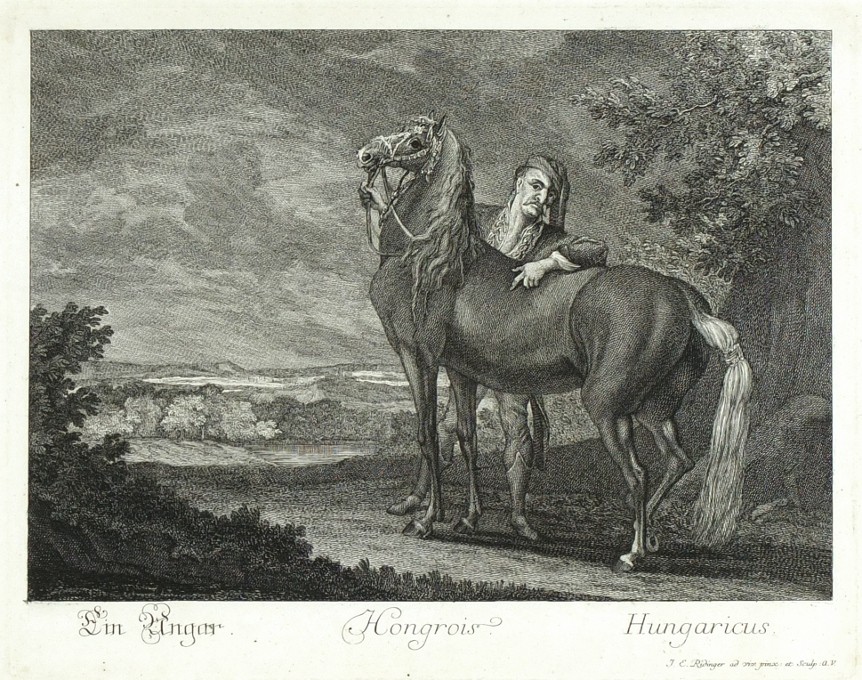 Ridinger - Hungarian horse - Hongrois, copperplate engraving, 1750
