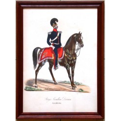 Bürger Cavallerie Division. Cavallerist