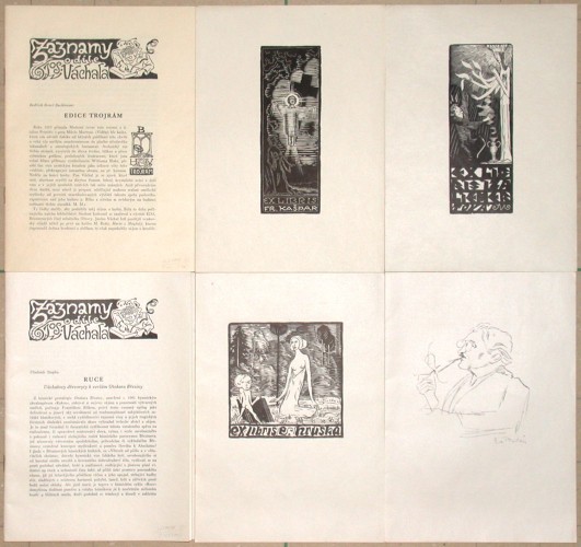 Záznamy o díle Jos. Váchala - Stará a moderní grafika na prodej