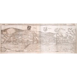 Der löblichen und weitbekannten Statt Heidelberg, am Wasser Neccar gelegen,