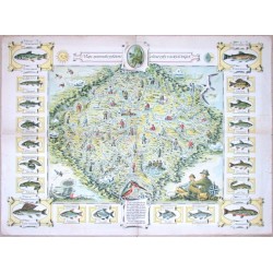 Mapa sportovního rybářství a lovné ryby v českých řekách