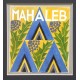Mahaleb
