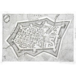 Lvca