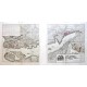 Plan de la Ville et du Port Mahon et du Fort St. Philippe - Antique map