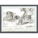 Canis Sagax. 1. Schweiss-Hund. 2. Leit-Hund