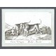 Canis Vertagus. Dachs-Hund