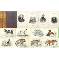 The natural history of Dogs