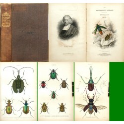 The natural history of Beetles