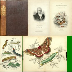 The natural history of Exotic Moths