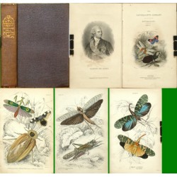 Introduction to Entomology