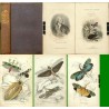 Introduction to Entomology