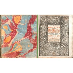 Neuer Prager Titular und Logiaments Calender zu Ehren dess Heil. Wenceslai  Auff das 1732. Jahr