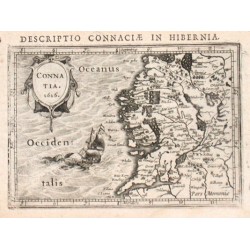 Connatia.1616