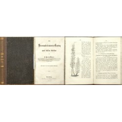 Das Beerenobst unserer Gärten und dessen Cultur