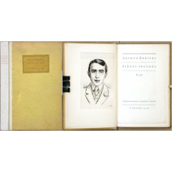 Střepy zrcadel