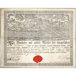 (Celkový pohled na Litoměřice)