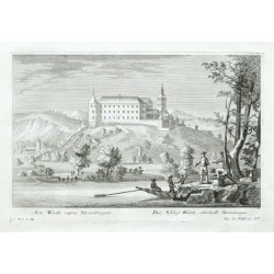 Arx Werth supra Straubingen. - Das Schloss Werth, oberhalb Straubingen