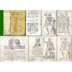 Disputationes anatomicae et psychologicae