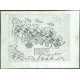 Curciola insula - Antique map