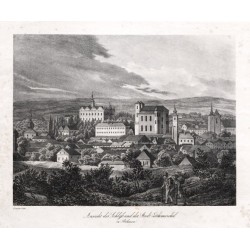 Ansicht des Schloss und der Stadt Leithomischel in Böhmen