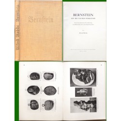 Bernstein ein deutscher Werkstoff