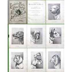 Illustriertes Muster-Hunde-Buch