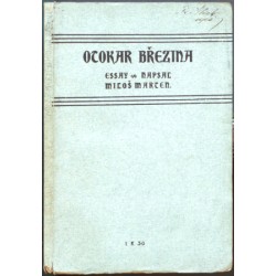 Otokar Březina. Essay