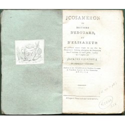 Icosameron